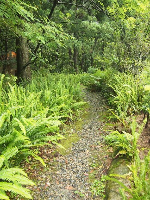 Wa No Cottage Sen-No-Ie Yakushima  Exterior photo